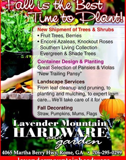 Lavender Mountain Hardware & Garden added a new photo.